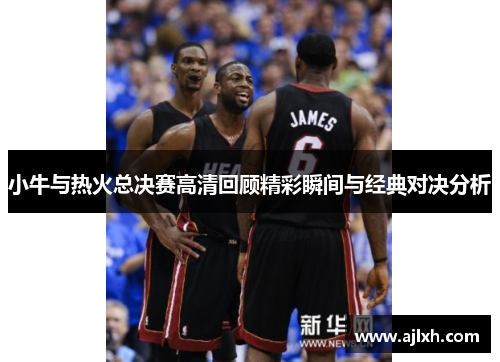 小牛与热火总决赛高清回顾精彩瞬间与经典对决分析
